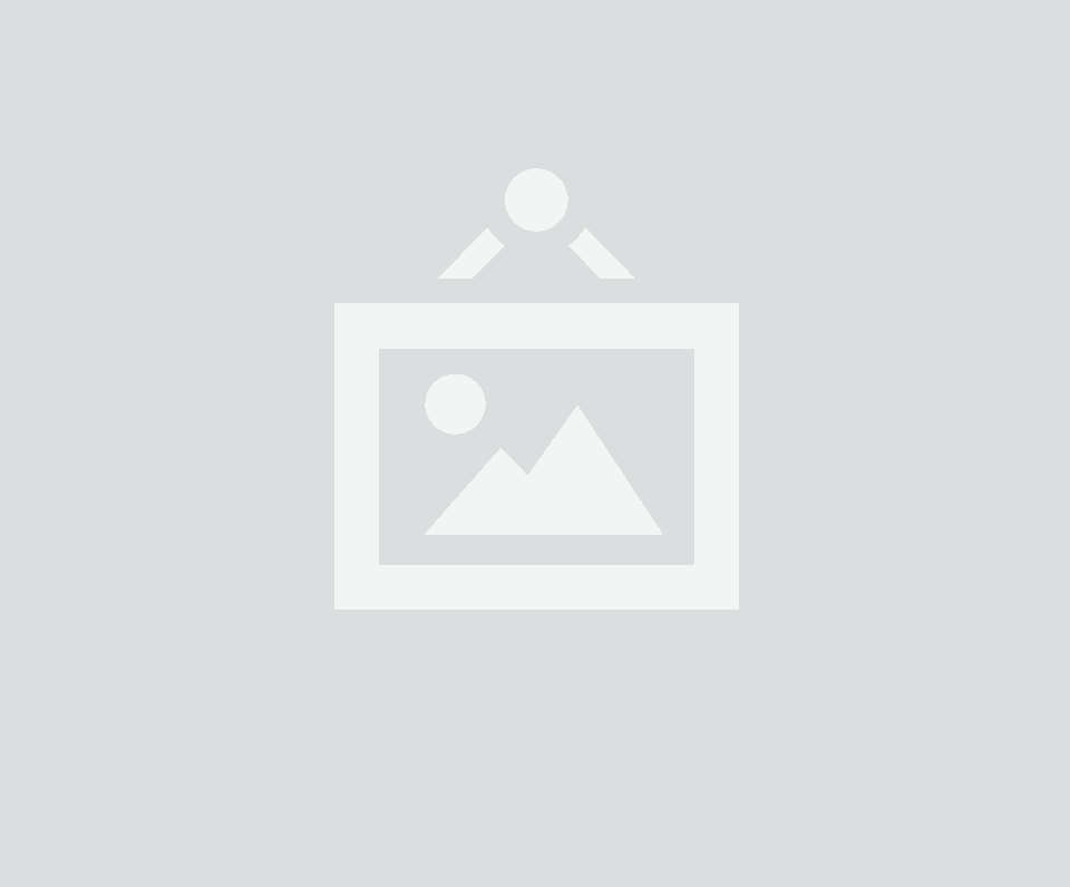 startupenglish.ru